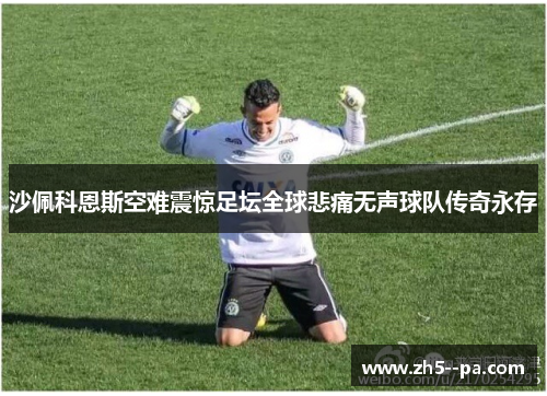 沙佩科恩斯空难震惊足坛全球悲痛无声球队传奇永存