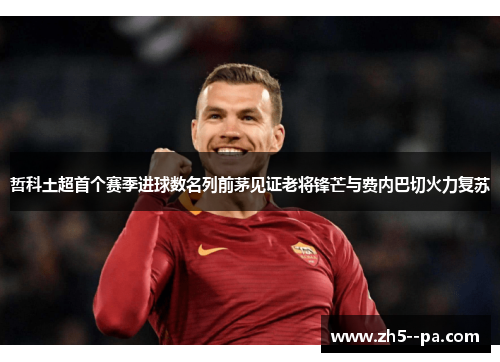 哲科土超首个赛季进球数名列前茅见证老将锋芒与费内巴切火力复苏 哲科土超首个赛季进球数名列前茅见证老将锋芒与费内巴切火力复苏